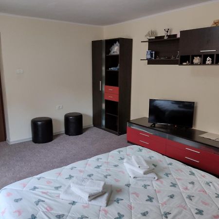 Mario'S Cozy Apartment Rîşnov 外观 照片