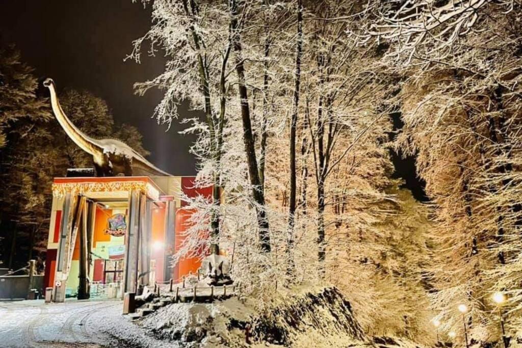 Mario'S Cozy Apartment Rîşnov 外观 照片