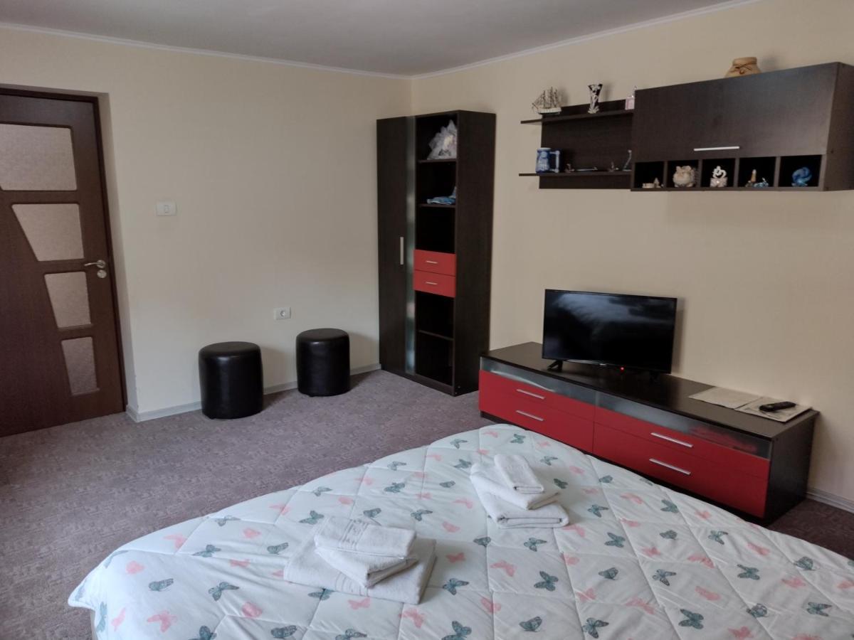 Mario'S Cozy Apartment Rîşnov 外观 照片