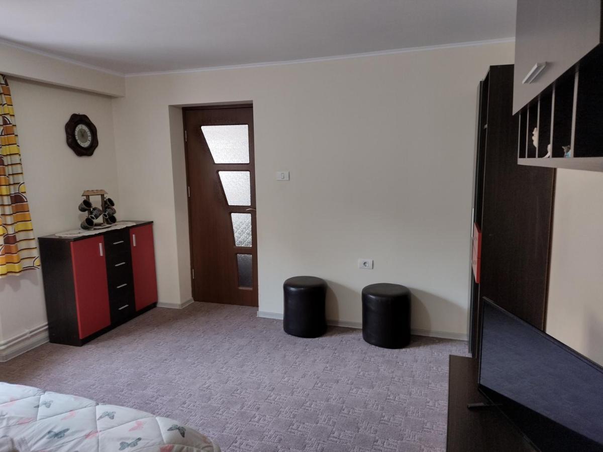 Mario'S Cozy Apartment Rîşnov 外观 照片