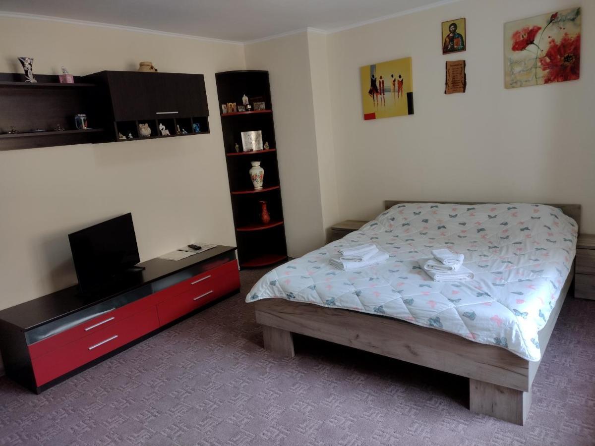Mario'S Cozy Apartment Rîşnov 外观 照片