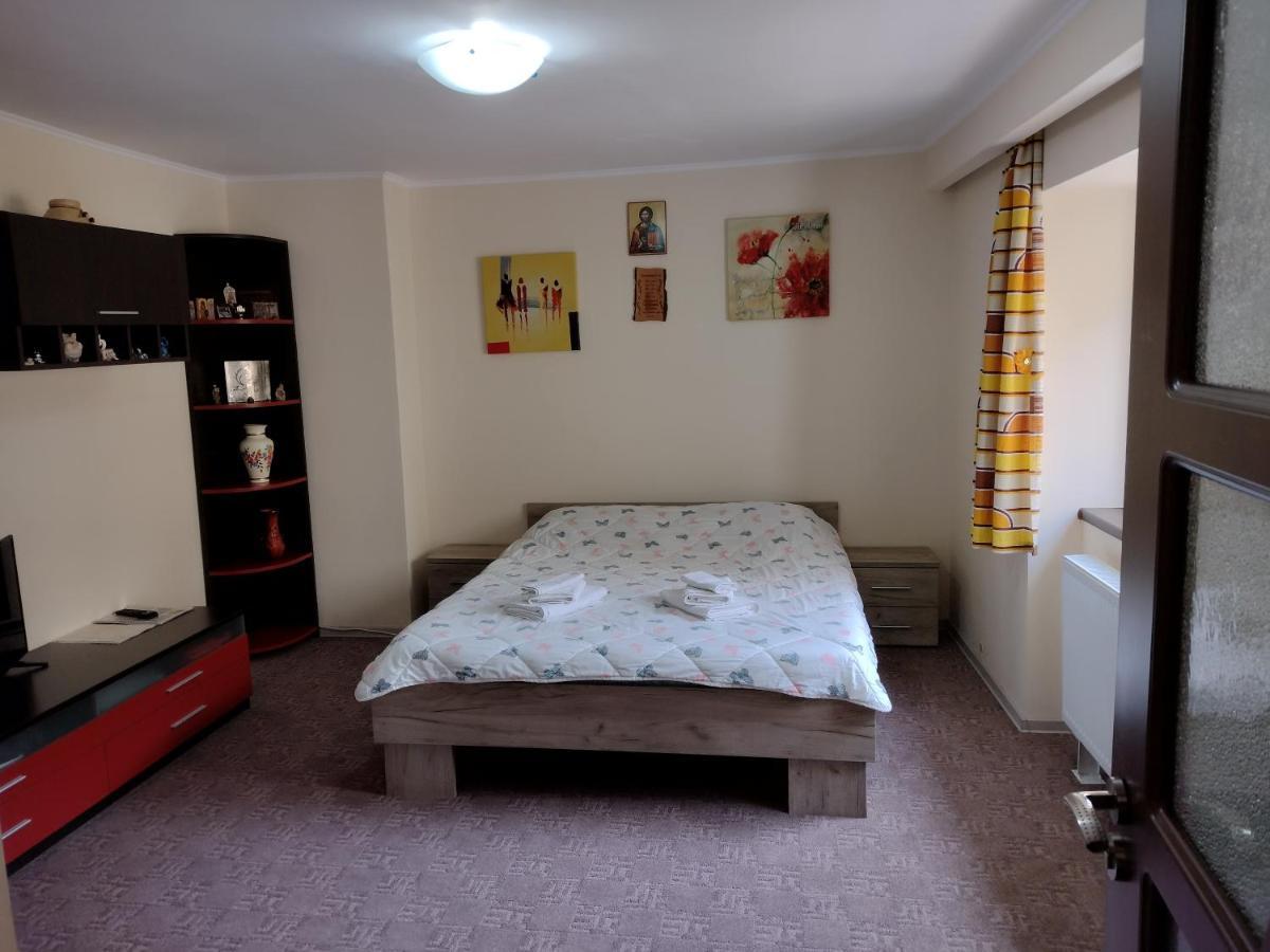 Mario'S Cozy Apartment Rîşnov 外观 照片